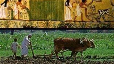 تعرف على الأمثال الشعبية المتعلقة بشهور الشتاء عند المصريين.. أبرزها 