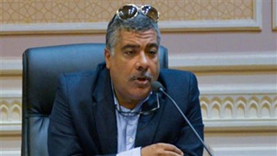 رئيس صناعة البرلمان: قرارات الرئيس السيسي استجابة لنبض الشارع