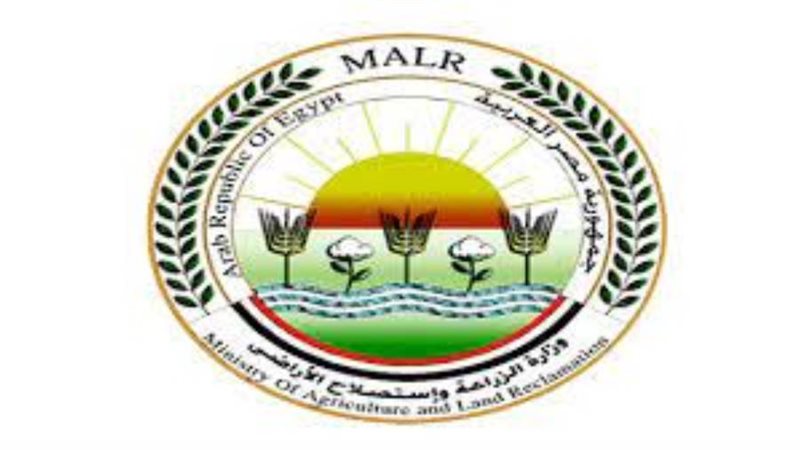 صورة أرشفيه