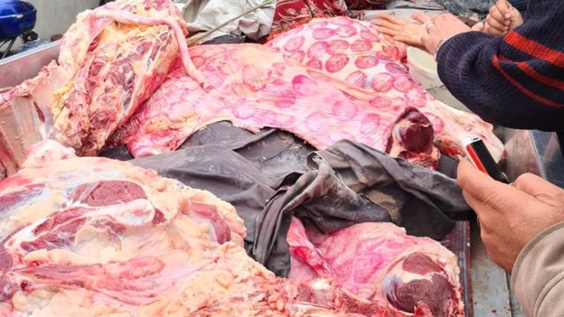 لحوم غير صالحه