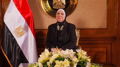 نيفين جامع: تشكيل مجموعة عمل مشتركة لإجراء دراسة إبرام اتفاق شراكة تجارية بين البلدين  