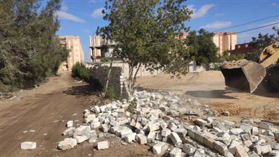 إزالة 60 حالة تعدٍ على الأراضي الزراعية والمجاري المائية بالبحيرة