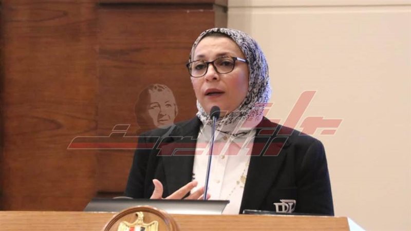 المهندسة هبة الخولى