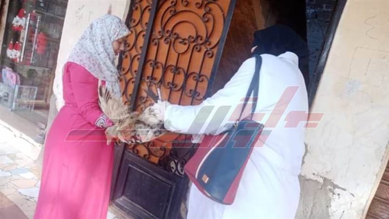 تحصين الطيور