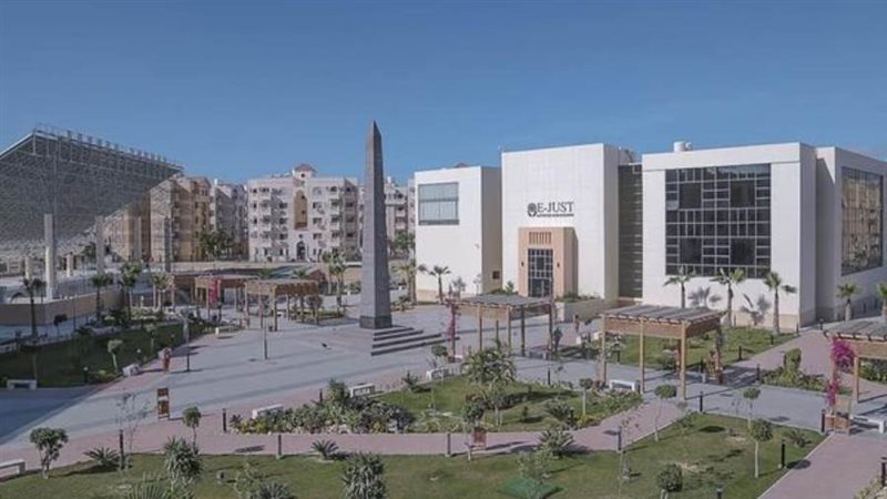 الجامعة المصرية اليابانية