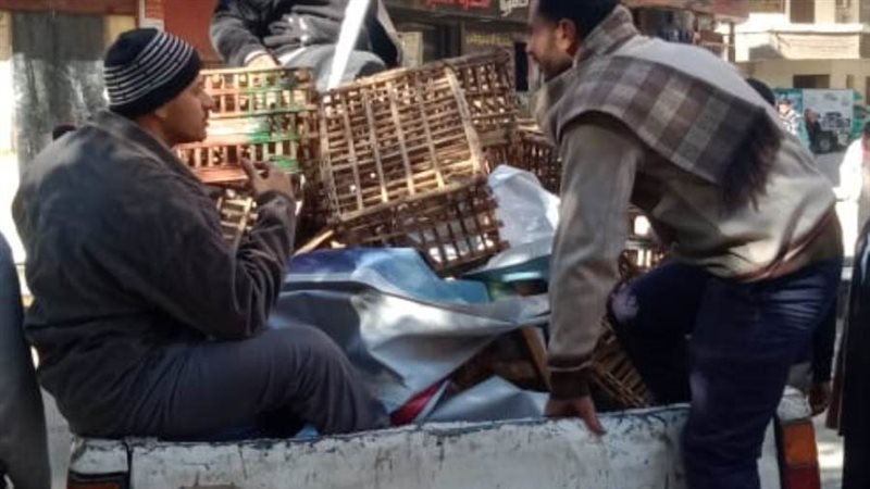 محافظ أسيوط: رفع