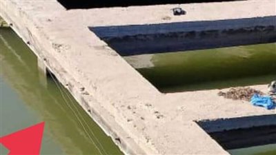 إزالة سلك كهربائي عشوائي أسفل كوبري أبو صوبر الإسماعيلية