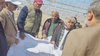 وزارة الزراعة: القيادة السياسية تولي مصانع إنتاج شتلات القصب اهتماما خاصا