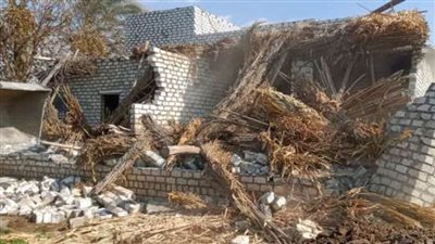 إزالة 115 حالة تعد ضمن المرحلة الأولى من الموجة الـ 19 ببني سويف