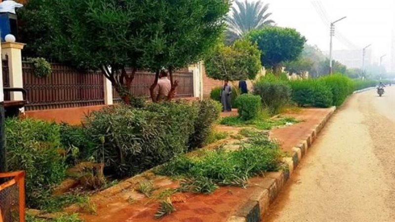 من جانب التشجير