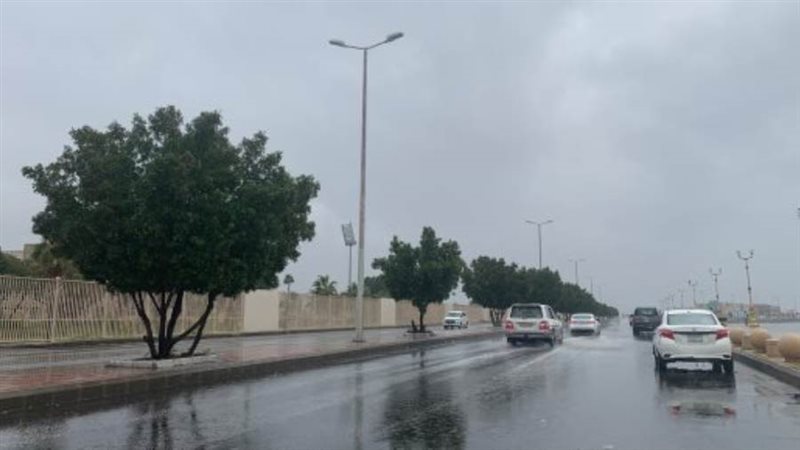 مواجهة الأمطار