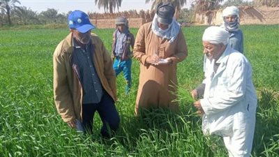 مركز بحوث الصحراء يواصل تنظيم المدارس الحقلية بالوادي الجديد