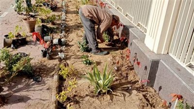 محافظة القاهرة تواصل تجميل شوارعها