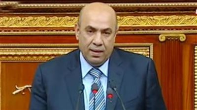 برلمانى: رجال الشرطة نجحوا في القضاء على محاولات الجماعات الإرهابية لشق وحدة الصف المصري