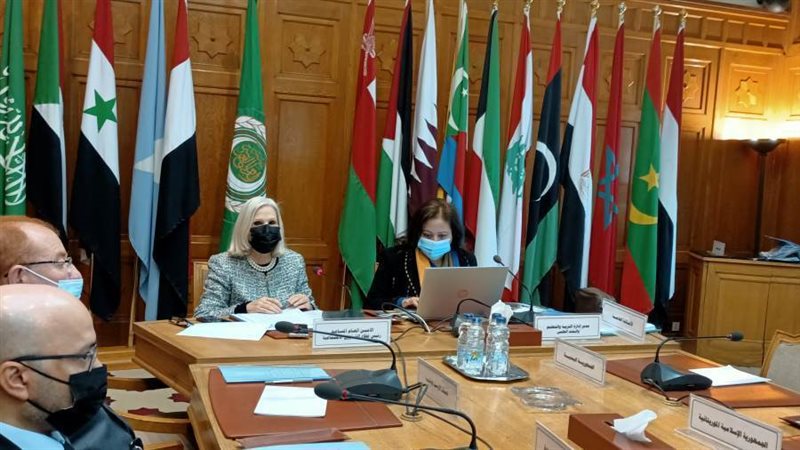 صورة من اجتماع خبراء