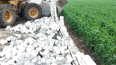 إزالة 42 حالة تعدٍ على المجاري المائية والأراضى الزراعية بالبحيرة