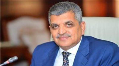 عاجل..أسامة ربيع: قناة السويس ستصبح 