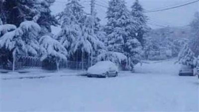 عضو جمعية الحساسية والمناعة يحذر مرضى المناعة من 