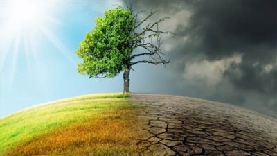 البعثة الدائمة لمصر لدى الأمم المتحدة في جنيف تنظم ورشة عمل حول آثار تدهور البيئة وتغير المناخ 