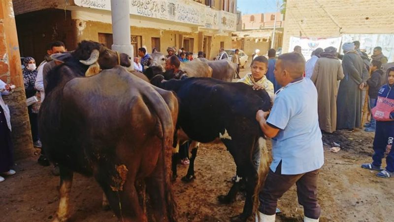 محافظ أسيوط: قافلة