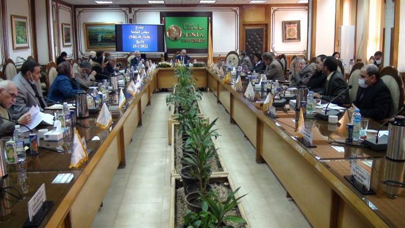 مجلس جامعة المنيا