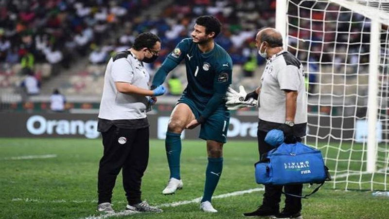 محمد الشناوي