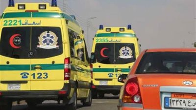 مصرع شخص وإصابة آخر في مشاجرة بين عائلتين بالإسماعيلية 