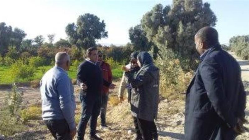 وفد هيئة تنمية الصعيد