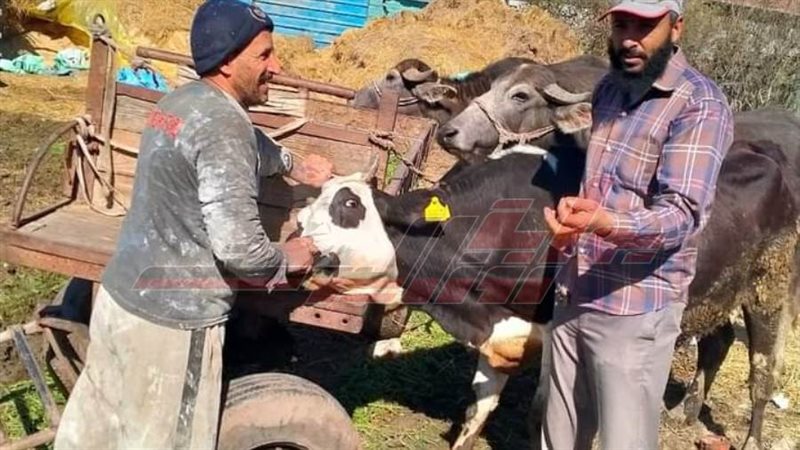 ندوات التوعية