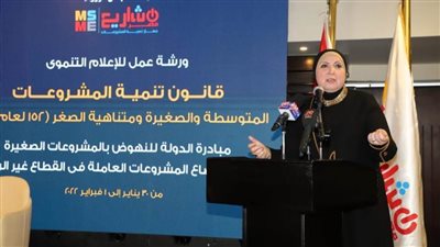 نيفين جامع: يتم حاليا حصر المشروعات غير الرسمية ومساعدتها في تقنين أوضاعها