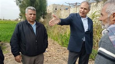 لجان للمرور على زراعات بنجر السكر قبل حصاده بالقنطرة شرق الإسماعيلية