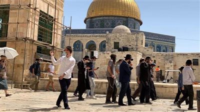 عشرات المُستوطنين يقتحمون المسجد الأقصى تحت حماية شرطة الاحتلال الإسرائيلي