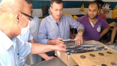 تحرير 2461 مخالفة تموينية بمراكز المنيا خلال يناير الماضى 