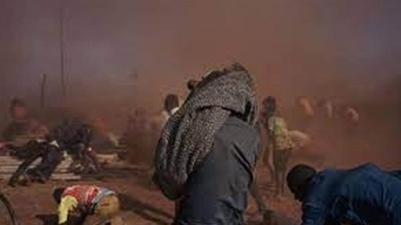 بوابة روز اليوسف