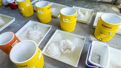 12 وفاة و50 حالة تسمّم في الأرجنتين بسبب كوكايين مغشوش