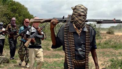 مقتل 11 عنصرا من حركة الشباب الإرهابية  بالصومال