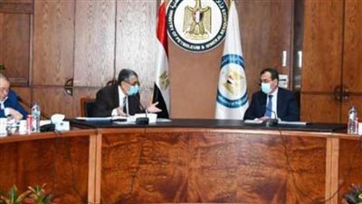 وزيرا البترول والكهرباء يبحثان توفير الغاز والوقود لمحطات الكهرباء