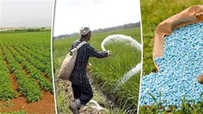 منظمة الأغذية والزراعة تحذر من ارتفاع أسعار الأسمدة وتأثيره على أسعار المنتجات الزراعية