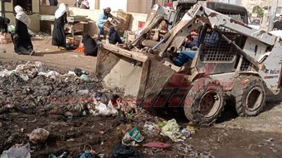 حملات نظافة مكبرة ببرج البرلس في كفر الشيخ