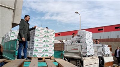 أورمان البحيرة تستعد لتوزيع 6500 كرتونة مواد غذائية على الأسر الأولى بالرعاية