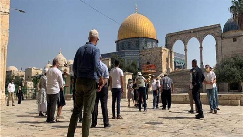 عشرات المستوطنون