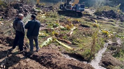 محافظ أسيوط: إزالة 13 حالة تعدٍ على أراضي النيل بمركز الفتح