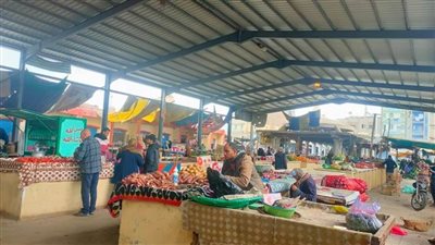  أسواق مدن القناة وسيناء.. تنتظر انخفاض الأسعار المتوقع خلال الـ15 يومًا القادمة