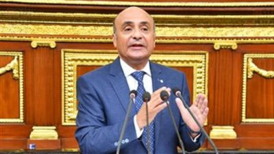 وزير العدل أمام 