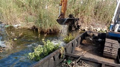 إزالة 28 حالة تعدٍ على الأراضي الزراعية بالبحيرة 