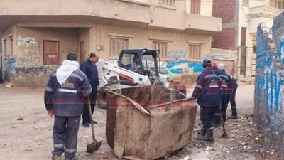 رفع كفاءة منظومة النظافة العامة والتجميل بكفر الشيخ