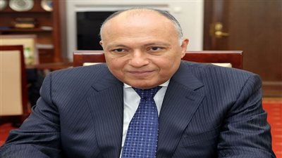 شكري يتلقى اتصالاً مرئيًا من المبعوث الأمريكي للمناخ 