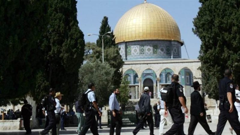 قطعان المستوطنين