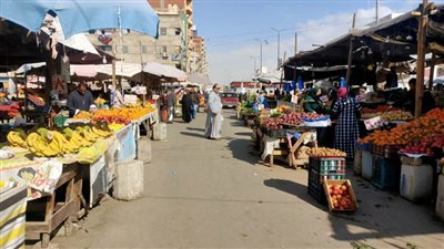 عقب الانتهاء من موجة الصقيع.. انخفاض كبير في أسعار  الخضر والفاكهة بالإسماعيلية 