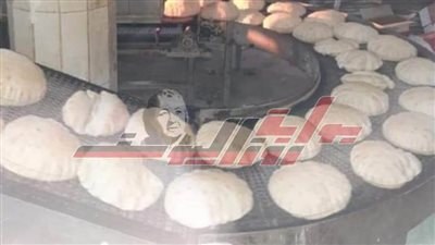 حملات رقابية على الأسواق للتأكد من صلاحية السلع بكفر الشيخ